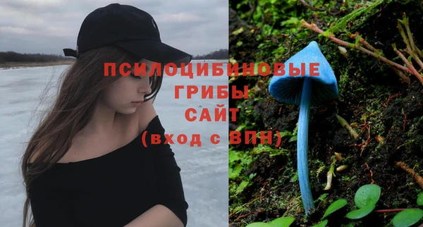 тгк Баксан