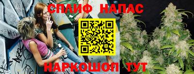 трава Беслан