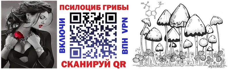 Галлюциногенные грибы Psilocybe  Белогорск 
