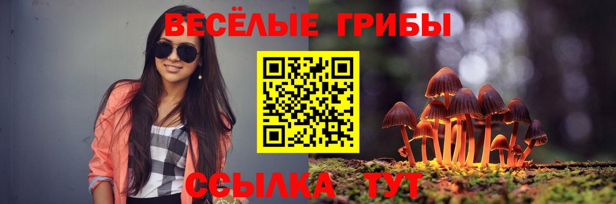 Псилоцибиновые грибы мухоморы  Вход с VPN  Белогорск  Галлюциногенные грибы GOLDEN TEACHER 